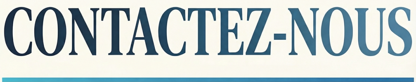 gemini 3 pro image preview 2k b traduire en francaiscvcv scaled