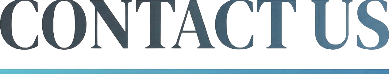 gemini 3 pro image preview nano banana pro b give me like this bu 1 copyffffff