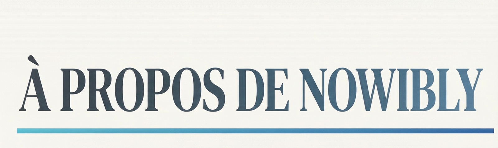 gemini 3 pro image preview a traduire en francais 1